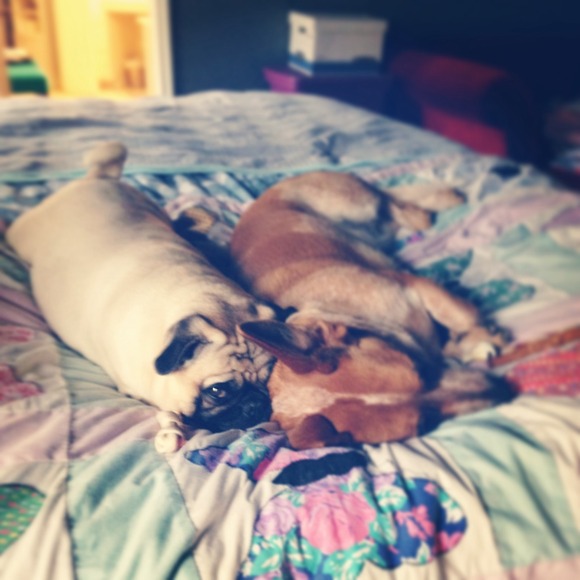 Profile Picture of Tammy Pfarrer (@tammypfarrer) on Poshmark