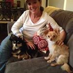 Profile Picture of Jodi Boyce (@jodiboyce1) on Instagram