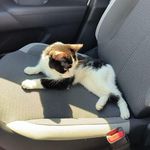 Profile Picture of Stéphane Hamon (@stephane.hamon.71) on Instagram