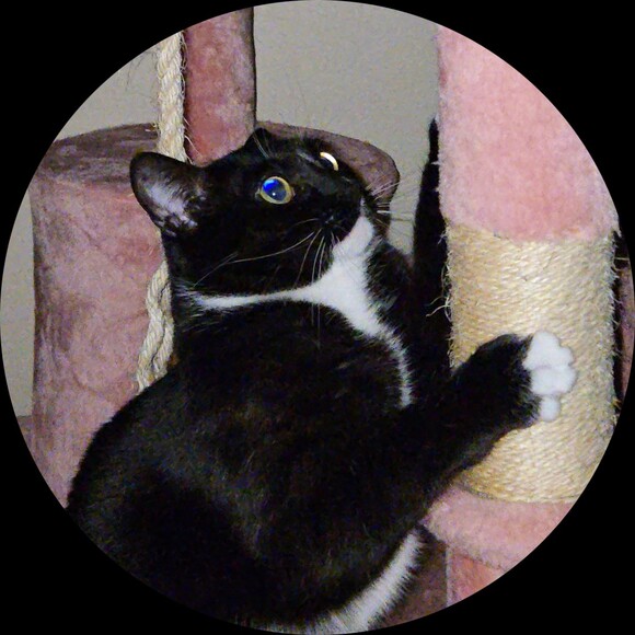 Profile Picture of Lynsey Lobie (@lynseylobie) on Poshmark