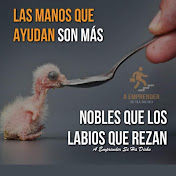 Profile Picture of Jose Vallecillo (@JoseVallecillo-xc6vj) on Youtube