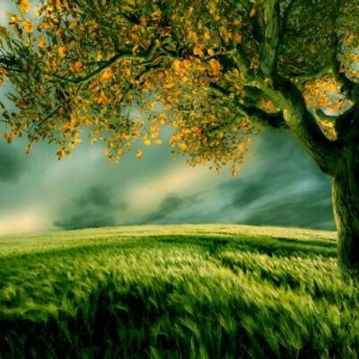 Profile Picture of Carlos Servin (@carlosservin7) on Twitter