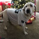 Profile Picture of Sherry Cleary (@raiders4us) on Instagram