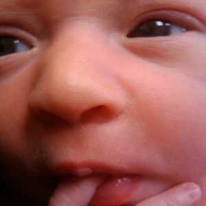 Profile Picture of Money Gonzalez (@fulo305) on Myspace