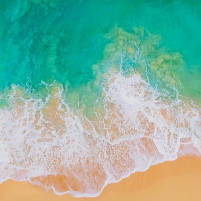 Profile Picture of Lucas Wozniewski (@LucasWozniewsk1) on Twitter