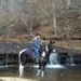 Profile Picture of Sharon Goad (@sgoadhorselover) on Pinterest