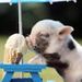 Profile Picture of James Melanson (@jamesmelanson0443) on Pinterest
