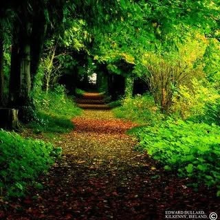 Profile Picture of Robert Milham (@robertmilham) on Instagram