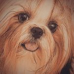 Profile Picture of Josephin Baumanns (@josephin_baumanns) on Instagram