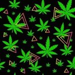 Profile Picture of Kelly___Mike___ Ty (@chronic___life) on Instagram