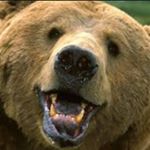 Profile Picture of Steven (@dedicatedfuin) on Instagram