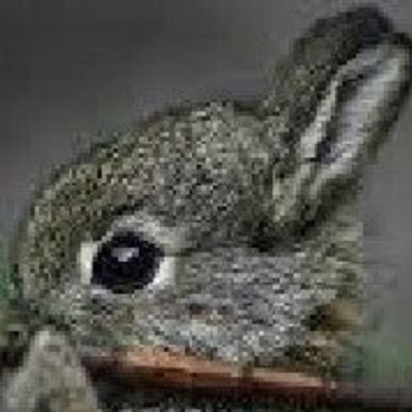 Profile Picture of Ian Locke (@lockei) on Poshmark