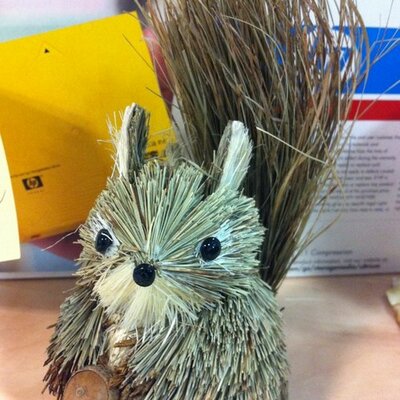 Profile Picture of Brutus Magnus (@Jason_confused) on Twitter