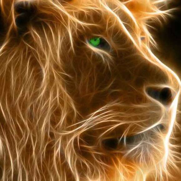 Profile Picture of Angie Mischuk (@angie_mischuk) on Poshmark