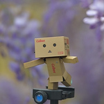 Profile Picture of Shih-chang Huang (@lesily2) on Flickr