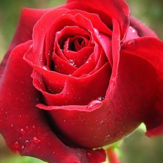 Profile Picture of Mohammad Azab (@mohammad.azab.581) on Facebook