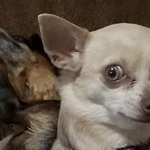 Profile Picture of Ester Moore (@MarieStormcrow) on Twitter