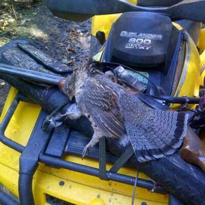 Profile Picture of David Ethier (@treestandhunts) on Twitter