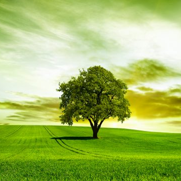 Profile Picture of Milos Stupavski (@mistu83s) on Twitter