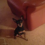 Profile Picture of Bob Vanek (@xbob1616) on Instagram