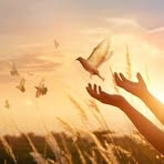 Profile Picture of Noor G Sallet (@noor.sa.543) on Facebook