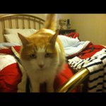 Profile Picture of Michael (@artaleuastory) on Instagram