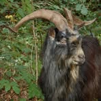 Profile Picture of Maxime Nael (@maxime.nael.378) on Facebook