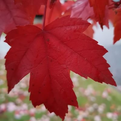 Profile Picture of Paul Yuan (@PaulYuan16) on Twitter