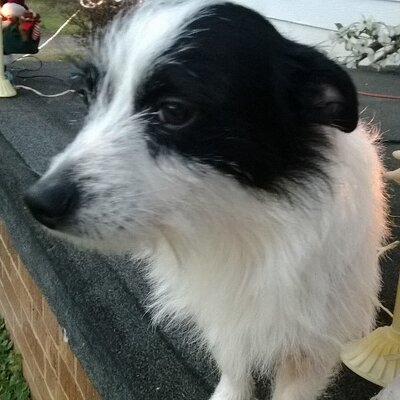 Cory Hinson - Twitter Profile Picture of Cory Hinson (@cory_hinson) on Twitter