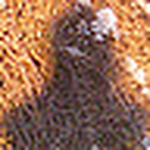 Profile Picture of Clare Porter (@littlemouse2009) on Flickr