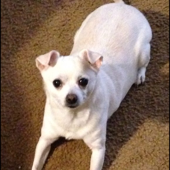 Profile Picture of Lindsey Pruette (@lindseyloo7976) on Poshmark