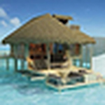 Profile Picture of Lisamcfadden (@lisamcfadden) on Flickr