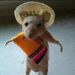 Profile Picture of Tee Cee (@eyeslikemeat) on Pinterest