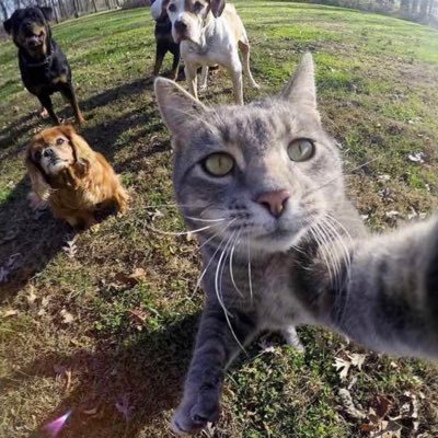 Profile Picture of Brian Shine (@jimrockfish1980) on Twitter