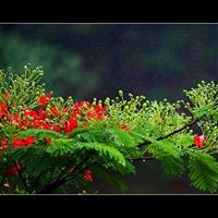 Profile Picture of Trudy Nguyen (@trudy-nguyen-6) on Quora