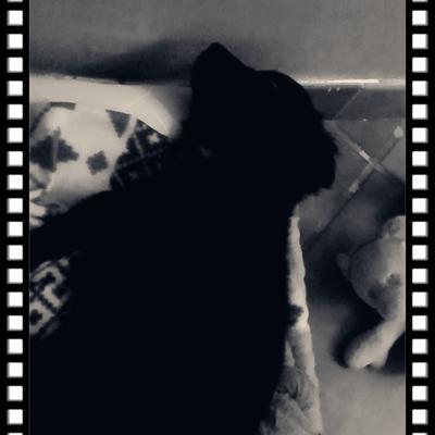 Profile Picture of Claudia Amato (@claudiaamato505) on Twitter