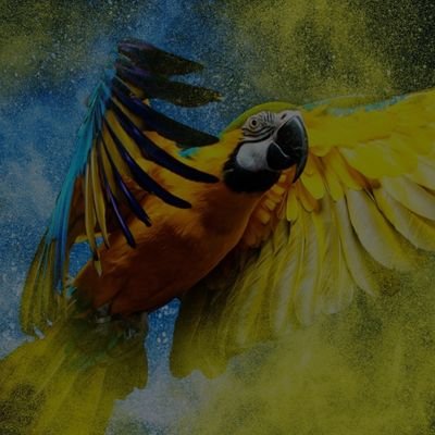 Profile Picture of Joel M Thurston (@JoelMThurston1) on Twitter