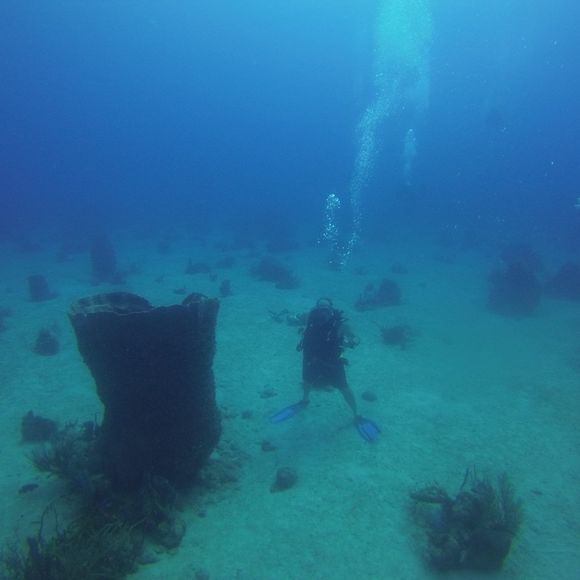 Profile Picture of Scott Stiverson (@stivyrocks) on Poshmark