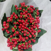 Profile Picture of MERLON  (@MERLON-t3v) on Youtube