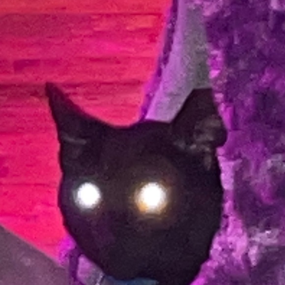 Profile Picture of Envy Polonsky (@envypolonsky) on Poshmark