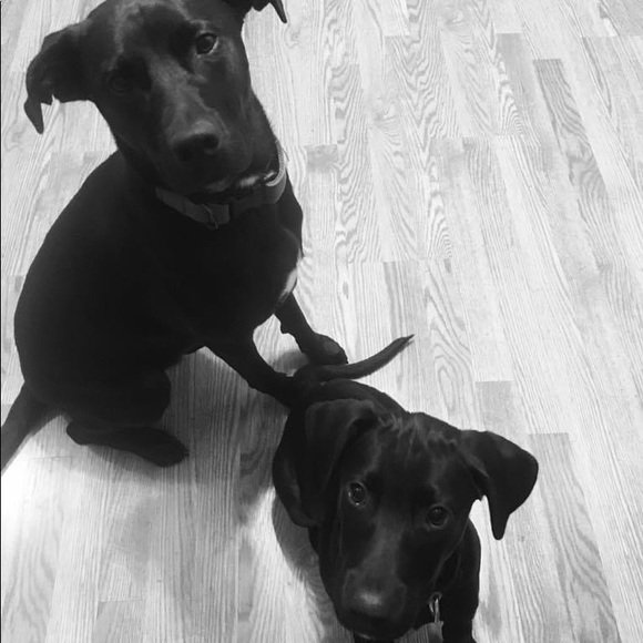 Profile Picture of Jenna Pyle (@pylej88) on Poshmark