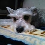 Profile Picture of Asuncion Gonzalez (@asuncion.gonzalez.1945) on Instagram