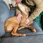 Profile Picture of Jared Dunavant (@jaredadunavant) on Instagram