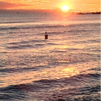 Profile Picture of Peter Bonner (@peteclean) on Twitter