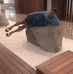 Profile Picture of Patrick Wise (@patrick.wise.1401) on Facebook