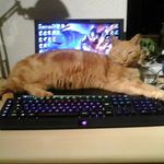 Ramona Hetzger - Instagram Profile Picture of Ramona Hetzger (@ramonahetzger) on Instagram