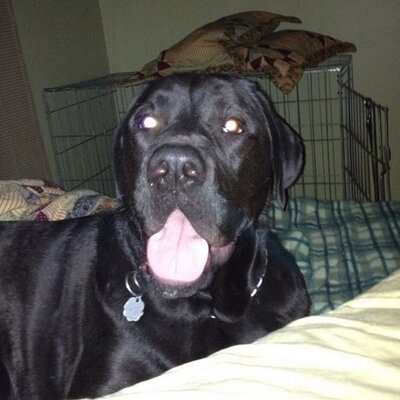 Profile Picture of Dan Morden (@DanMorden) on Twitter