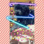 Profile Picture of pochona _alanis❤️ (@pochona_alanis) on Instagram