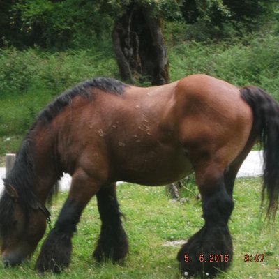 Profile Picture of Paso Lento (@tomas_duenas) on Twitter