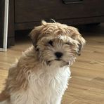 Profile Picture of Kevin Gagner (@Kevin-Gagner) on Facebook